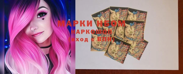 mix Богородицк