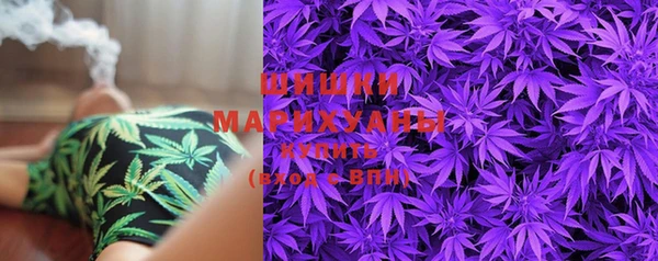 mix Богородицк