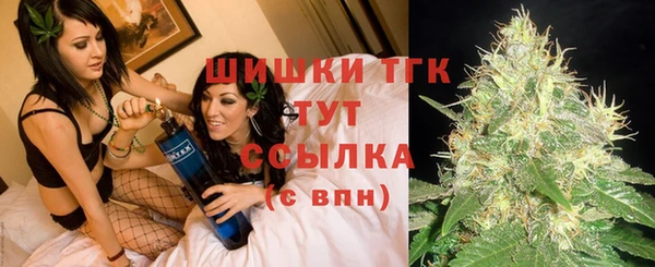 mix Богородицк