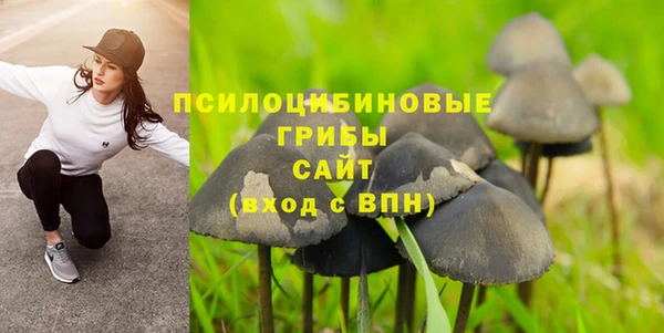 МДМА Богородск