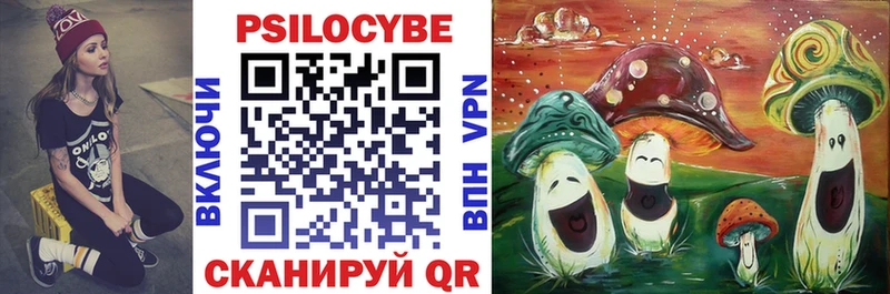 Купить  Дыгулыбгей  Галлюциногенные грибы ЛСД 